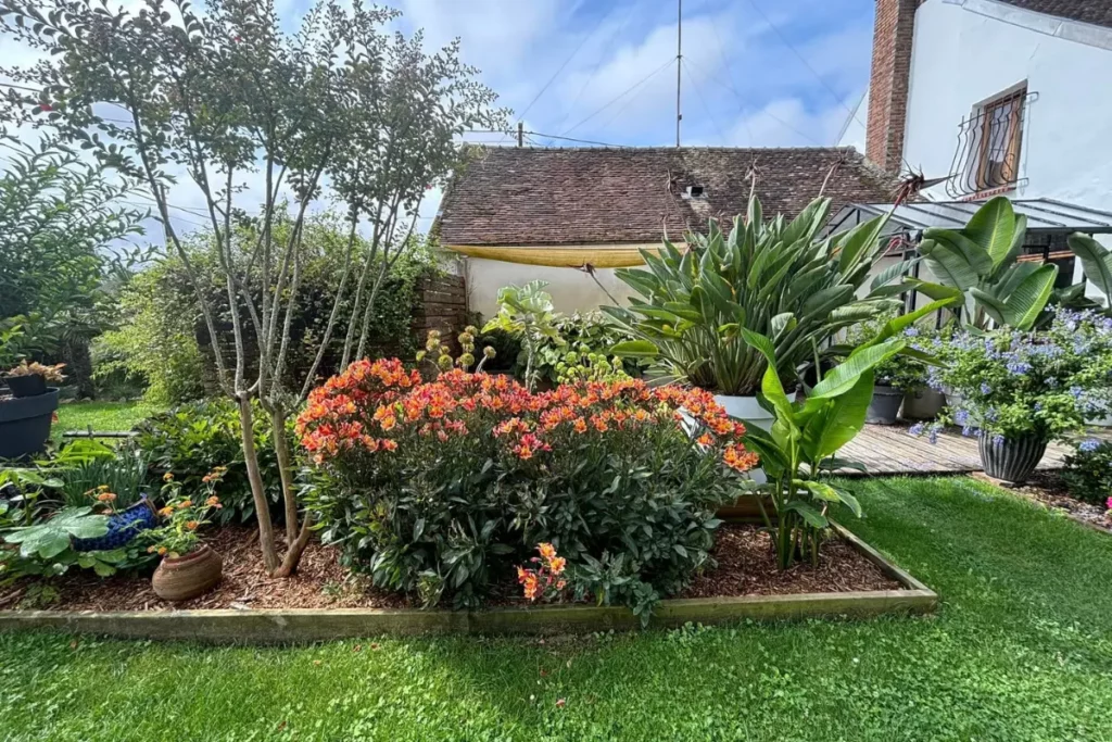 Jardin grasse