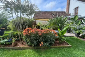 Jardin grasse