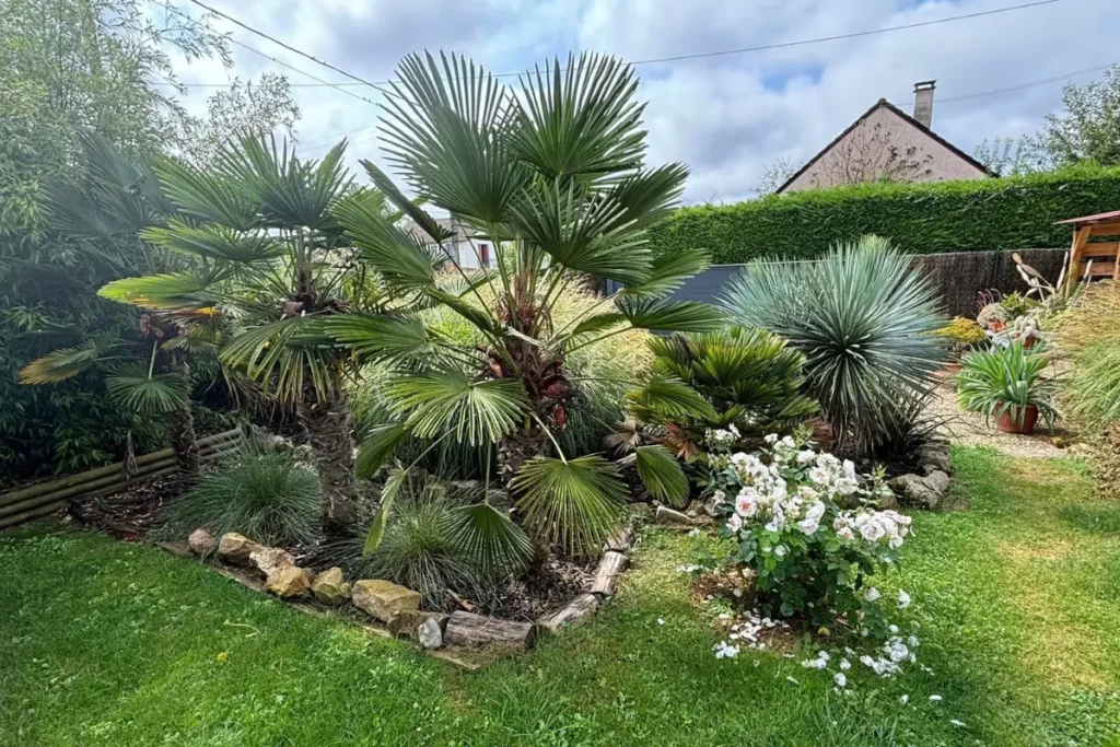 Jardin entretenu par jardinier à grasse