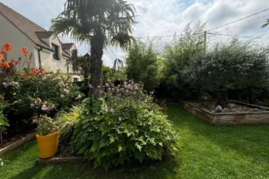 Jardin à grasse entretenu