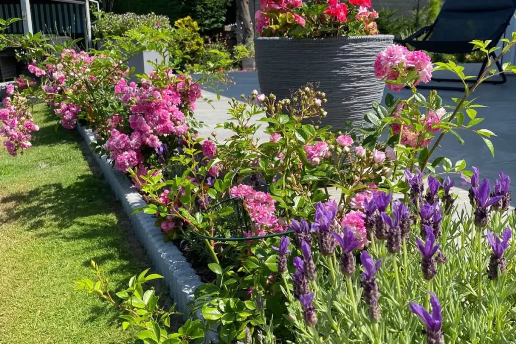 jardin entretenu à magagnosc