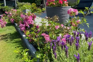 jardin entretenu à magagnosc