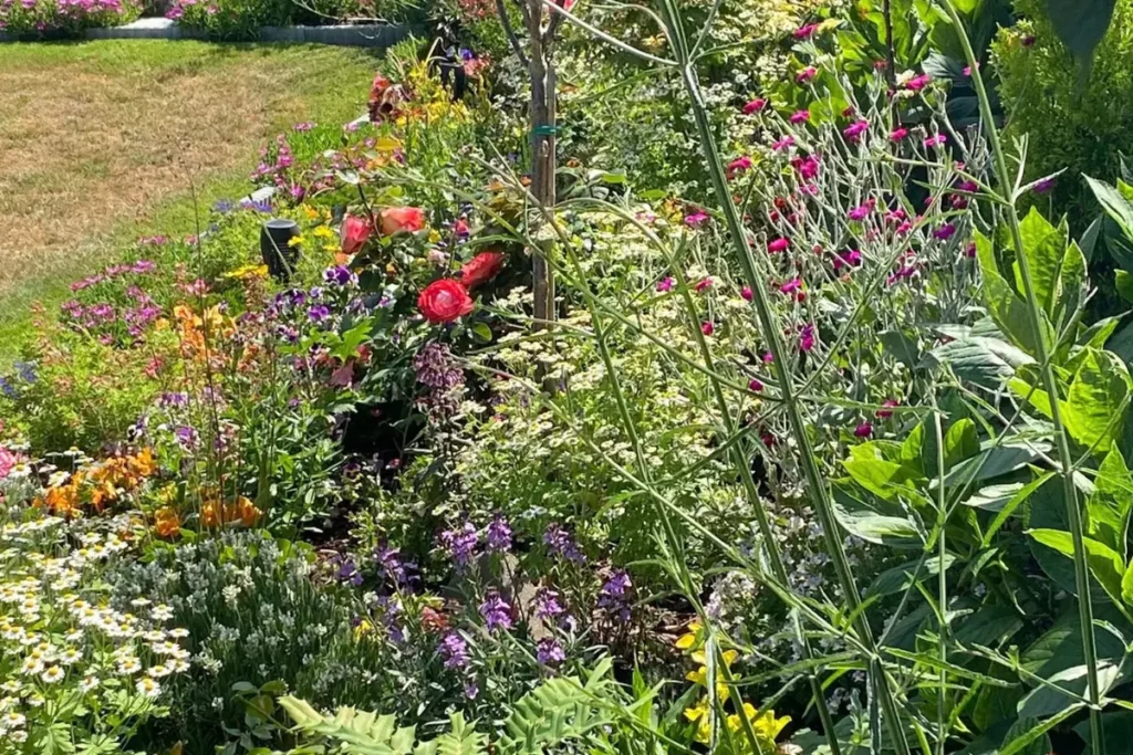 Jardin entretenu au plan de grasse