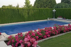 Jardin avec piscine entretenu au plan de grasse