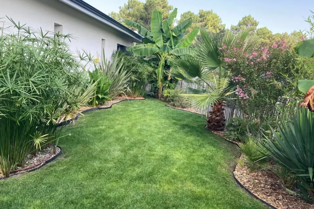 pelouse tondu et palmier dans un jardin à Plascassier